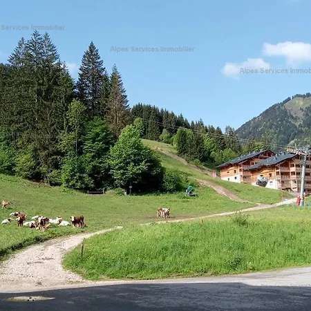 Apartment Cosy 22m² Aux Pieds Des Pistes, Proche Commerces, Avec Balcon Et Parking - - Fr-1-573-116 Saint-Jean-d'Aulps